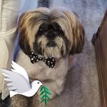 Eileen Cramer Ferrarie - @blogger48 - Instagram