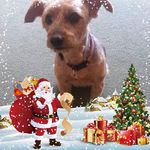 Eileen Holdcroft - @holdcrofteileen - Instagram