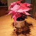 Eileen Cronin - Facebook