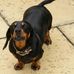 Eileen Cronin - Facebook