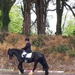 Eileen Cronin - @cronin_eileen - Instagram
