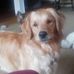 Eileen Cruse - Facebook