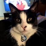 Eileen Crowe-Costello - @ikester301 - Instagram