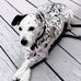Eileen Curtin - Facebook