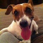 Eileen Curtin - @lady_bug0516 - Instagram
