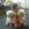 eileencurtin0 - @eileen__kitkat - TikTok
