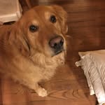 Eileen Delaney - @edelaney68 - Instagram