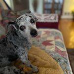 Eileen Schaff Dennis - @eileenschaffdennis - Instagram