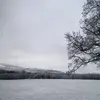 eileendevlin4711 - @eileendevlin4711 - TikTok