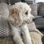 Eileen Doherty - @eileen3453 - Instagram