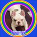 Eileen Downing - Facebook