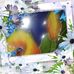 Eileen Drake - Facebook