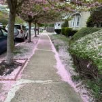 Eileen Dugan - @eileen.dugan.71 - Instagram
