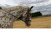 Eïleen 19 - @eileendumont - TikTok