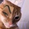 Eileen Duran - @eileenduran5547 - TikTok