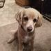 Eileen Dyer - Facebook