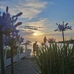 Eileen Ebert - @neelie_85 - Instagram