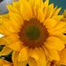 Eileen Shafer Engelman - Facebook