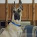 Eileen Ennis - Facebook