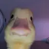 eileen_os17 - @eileen_os17 - TikTok