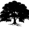 Eileen Apperson - @eileen.apperson - TikTok