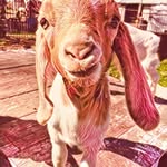 Eileen Epperson - @eileenepperson9 - Instagram