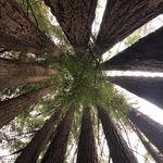 Eileen Erickson - @ecericks - Instagram