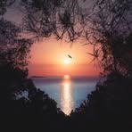 Eileen Erickson - Facebook