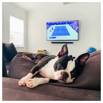Eileen Escarda - @bellamyboston - Instagram