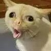 eileenespino465 - @eileenespino465 - TikTok