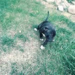 Eileen Estrella - @eileen.estrella.165 - Instagram