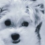 Eileen Evans - @eileenevans246 - Instagram