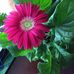 Eileen Evans - Facebook