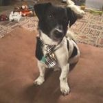 Eileen Evans - @johnoeileen - Instagram