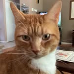 Eileen Everett - @4ailhar7 - Instagram
