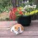 Eileen Everson - Facebook