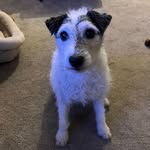 Eileen Webster - @eileen_fairoaks - Instagram