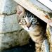 Eileen Farley - Facebook