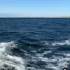 Mother Mary - @eileen.feehan - TikTok