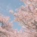 Eileen Fei - Facebook