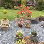 EileenF - @eileenfellows47 - Instagram