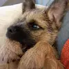 Eileen Fenwick623 - @eileenfenwick100 - TikTok