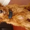 sarah - @eileenferguson6 - TikTok