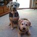 Eileen Ferko - Facebook