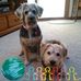 Eileen Ferko - Facebook