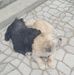 Eileen Findlay - Facebook