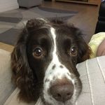 Eileen Findlay - @findlayeileen - Instagram