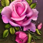 Eileen Fitch - @ehfitch - Instagram