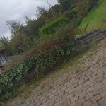 Eileen J. Fitzsimons - @sunset_amy123 - Instagram