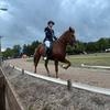 eileen - @eileenfischer1 - TikTok